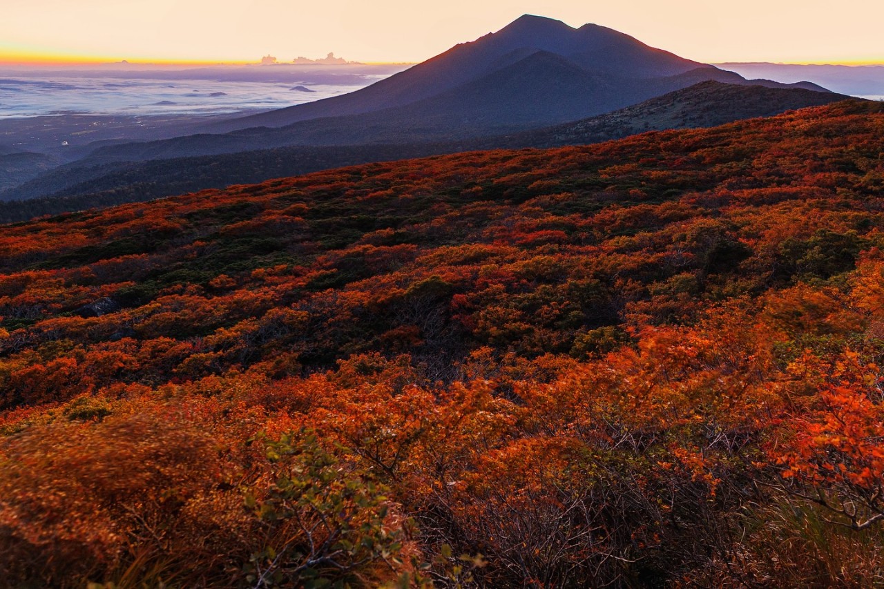 早朝の三ツ石山山頂から見た紅葉と岩手山の写真
