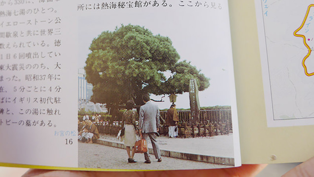 当時のガイドブックに載っているお宮の松