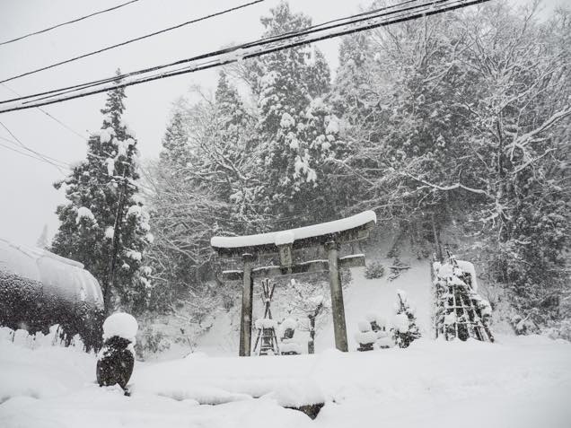 雪が積もった南部神社の鳥居
