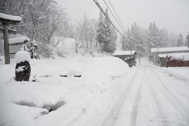 雪が積もった南部神社の鳥居の周辺