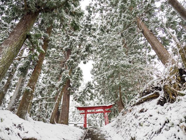 南部神社の境内にある赤い鳥居
