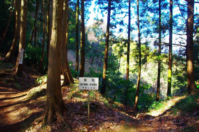 葛城山登山道