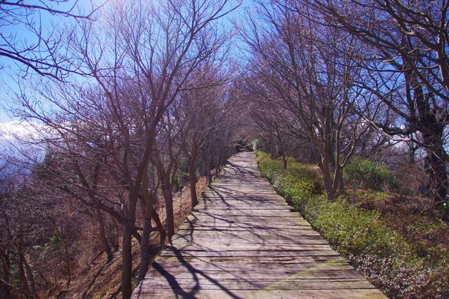 葛城山山頂