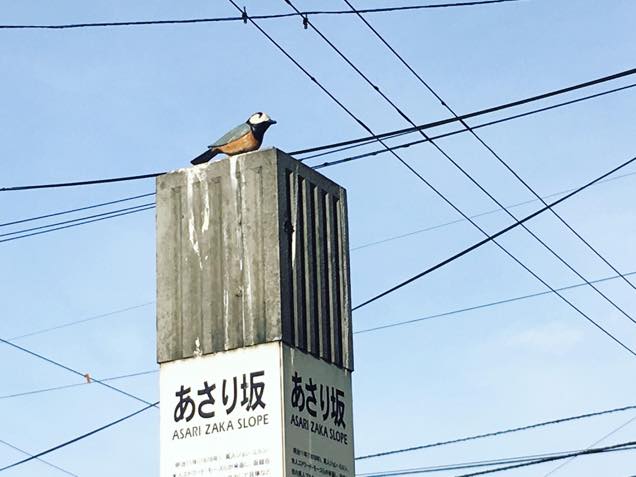標識