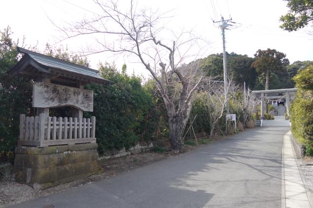 緑の木に囲まれた高家神社の参道