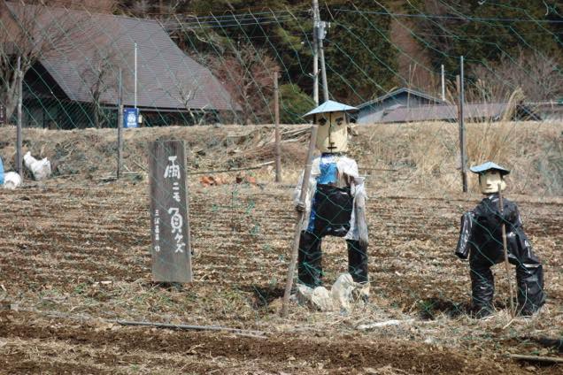 西湖いやしの里根場