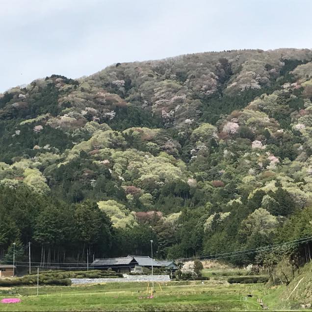 高峯の風景