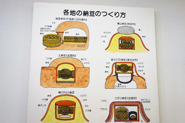 納豆展示館　納豆の作り方