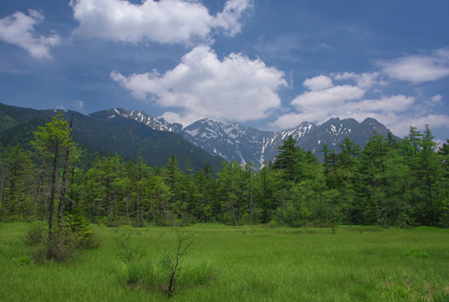 田代湿原