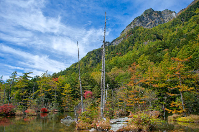 明神池の紅葉