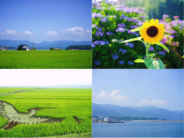 佐渡　風景