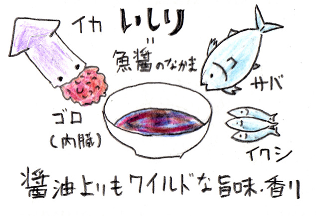いしりイラスト