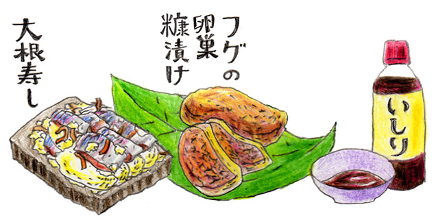大根寿し、フグの卵巣糠漬け、いしりイラスト
