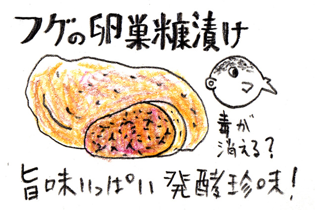 フグの卵巣糠漬けイラスト
