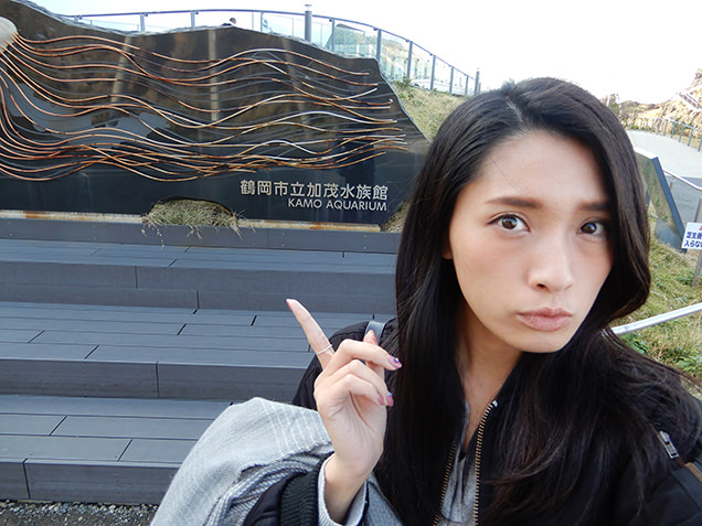 鶴岡市立加茂水族館　モニュメント