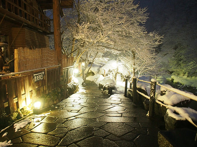 宝川温泉 汪泉閣　庭園