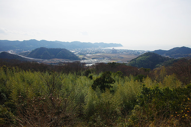 とみやま水仙遊歩道　展望所からの風景