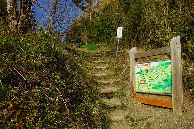 とみやま水仙遊歩道　入口