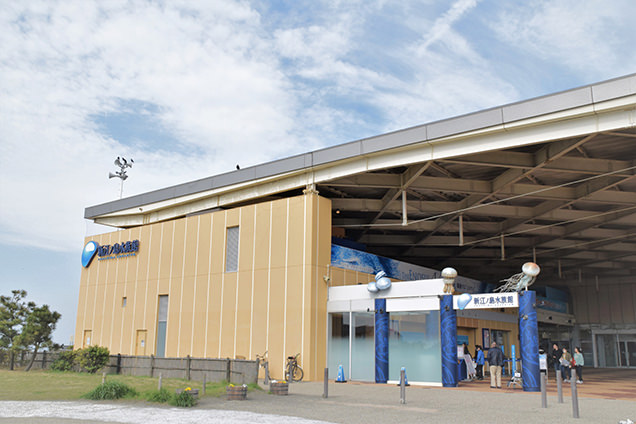  新江ノ島水族館