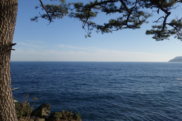 伊豆の海