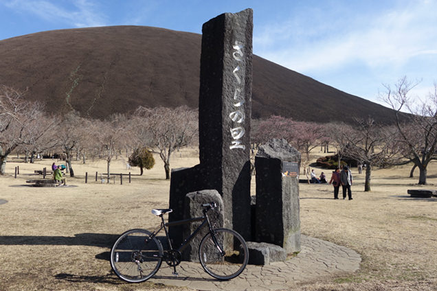 サイクリングツアー　大室山麓 さくらの里