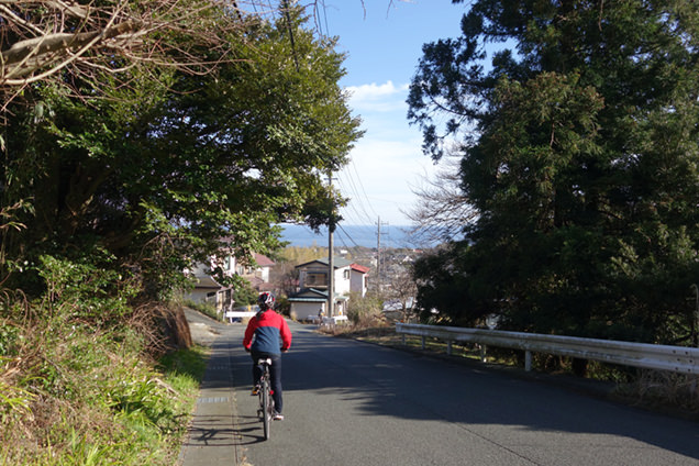サイクリングツアー　ダウンヒル