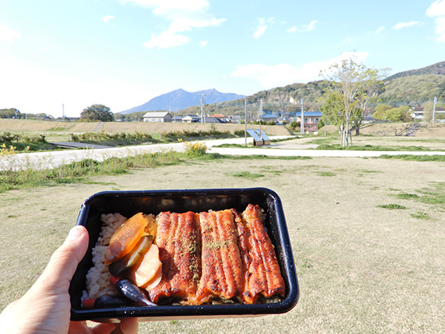 うなぎ弁当