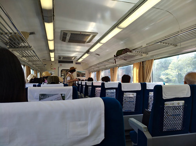 SL大樹