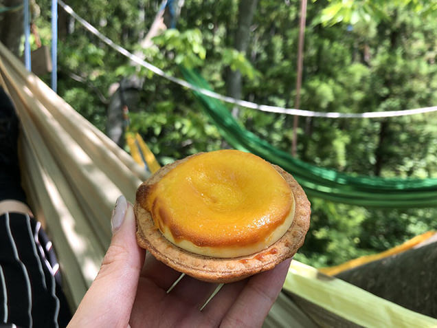 ツリーイング　ハンモックでチーズタルト