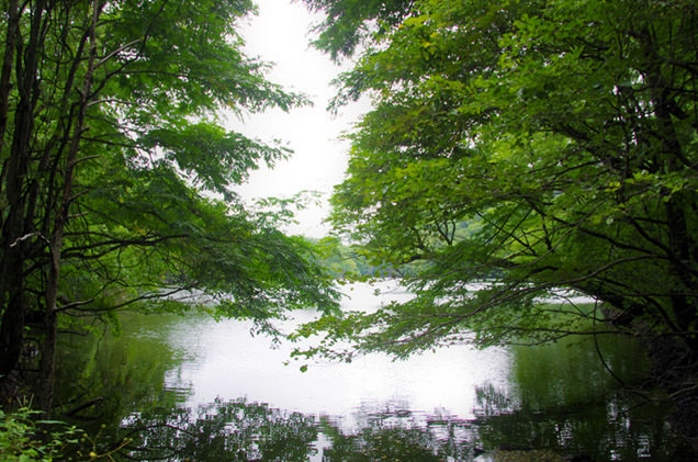 鶏頭池（けとば）の池