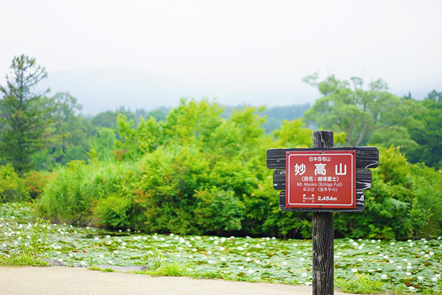 いもり池と看板