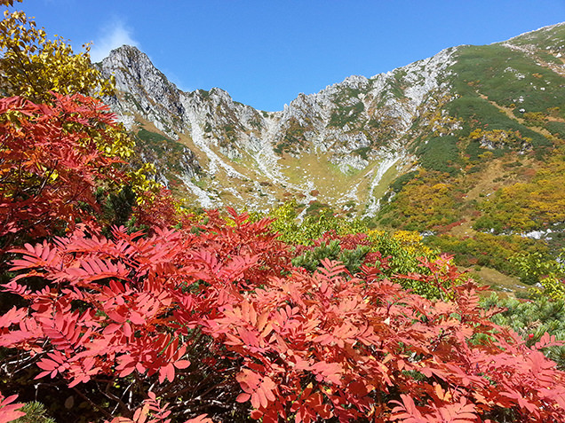 晴れた日の千畳敷カールの紅葉風景