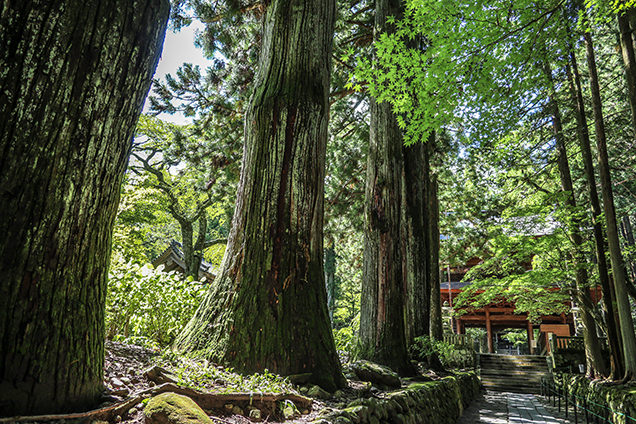 光前寺の参道