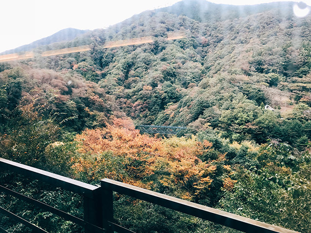 箱根登山電車　車窓　紅葉