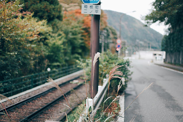 彫刻の森駅　紅葉
