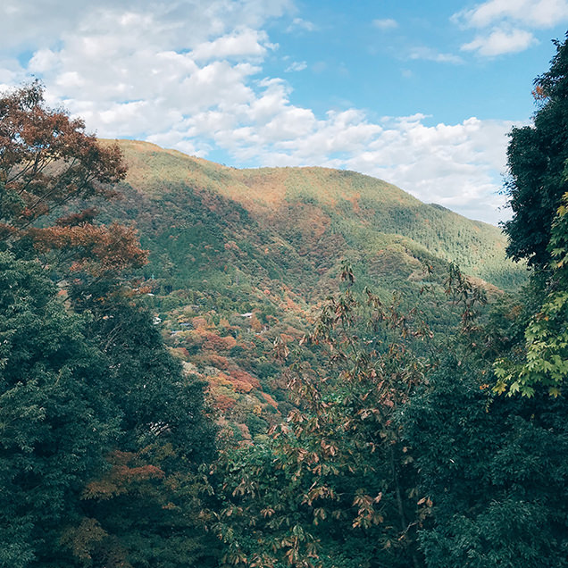 紅葉　スマホ　撮影