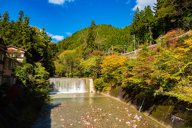 川沿いは紅葉し始めていてきれい