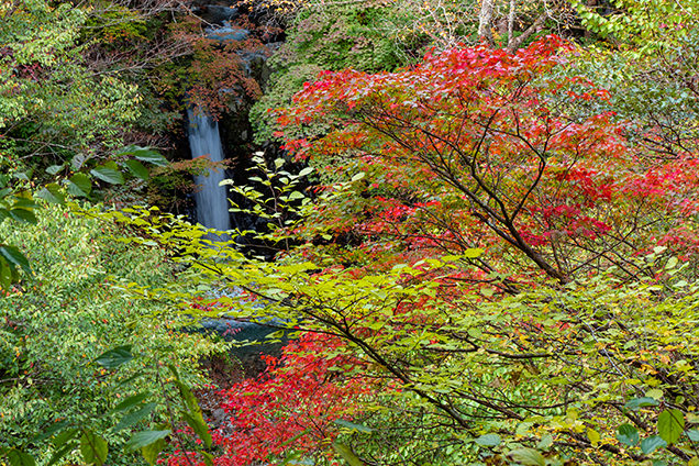 小泉の滝