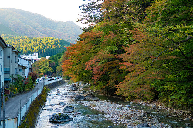 川沿いの紅葉は、ちょうどよい赤から緑へのグラデーションを見せてくれた