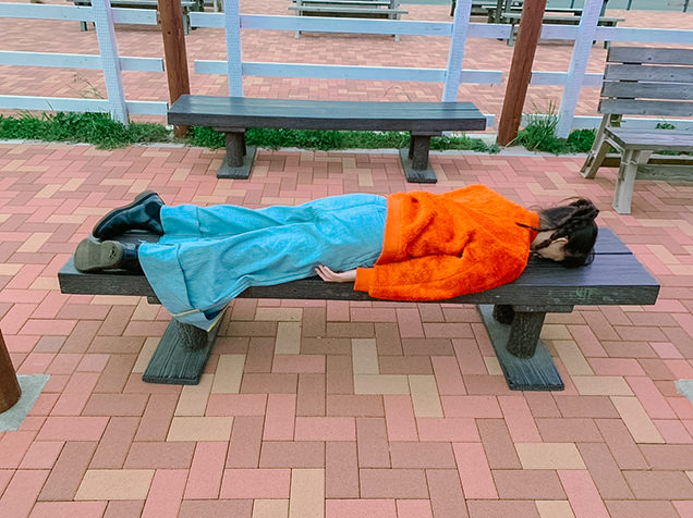 マザー牧場　はましゃか