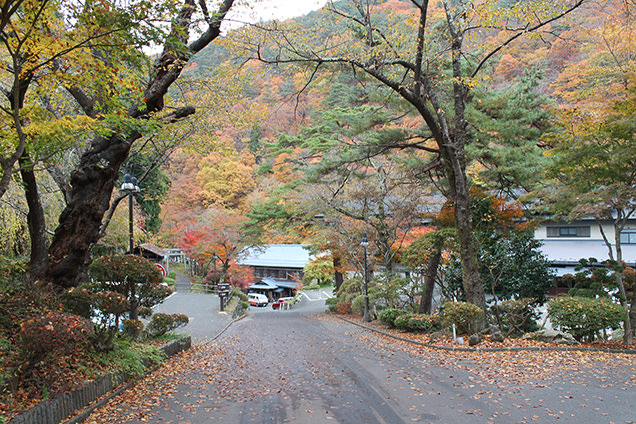 大沢温泉へ続く道