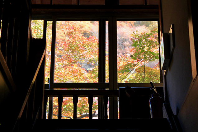 湯治部の館内から見える紅葉
