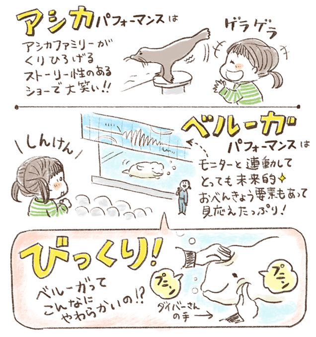 アシカやベルーガのパフォーマンス