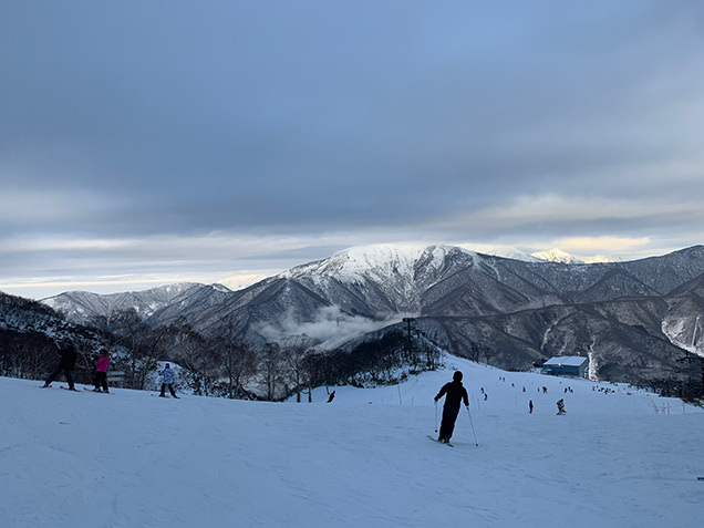 山頂付近からの景色