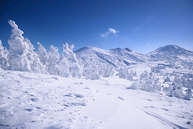 八甲田山の樹氷