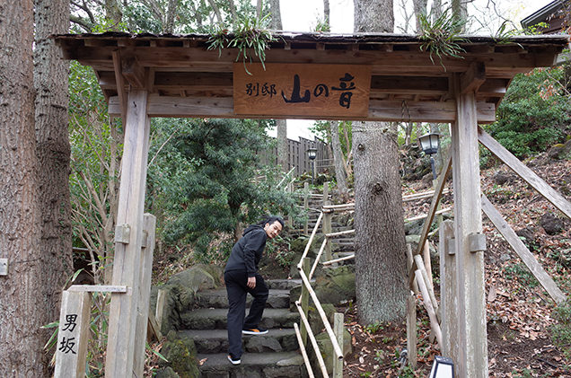 別邸山の音