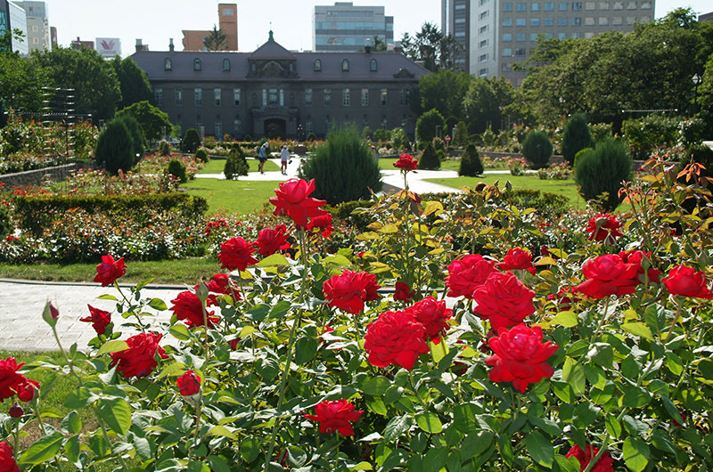 大通公園