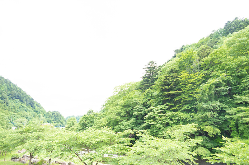 宿からの景色
