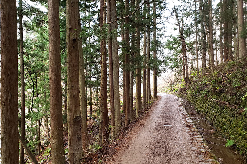 山道