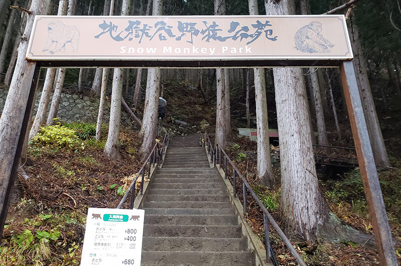 地獄谷野猿公苑